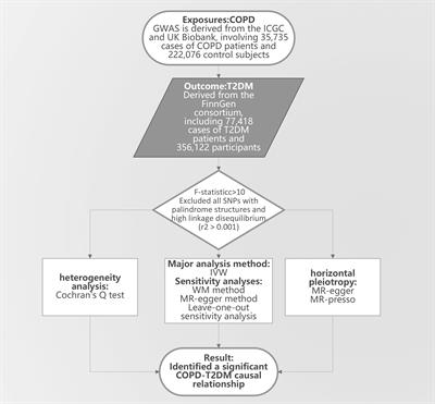 COPD and T2DM: a Mendelian randomization study